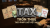Tội Trốn Thuế Theo Pháp Luật Việt Nam: Lằn Ranh Giữa Tối Ưu Chi Phí Và Chế Tài Hình Sự