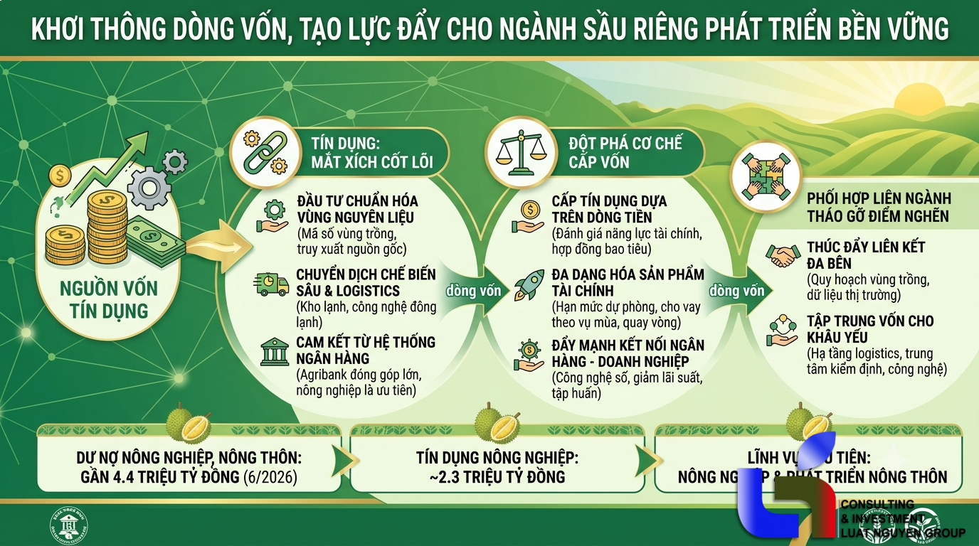 Khơi thông tín dụng: Bệ phóng cho sầu riêng phát triển bền vững